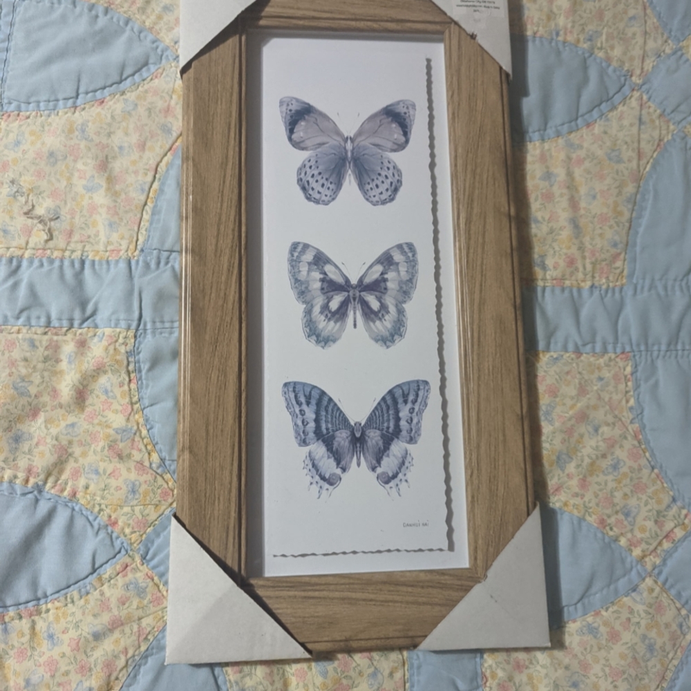 Hobby Lobby Butterfly Wall Art with Black Frame